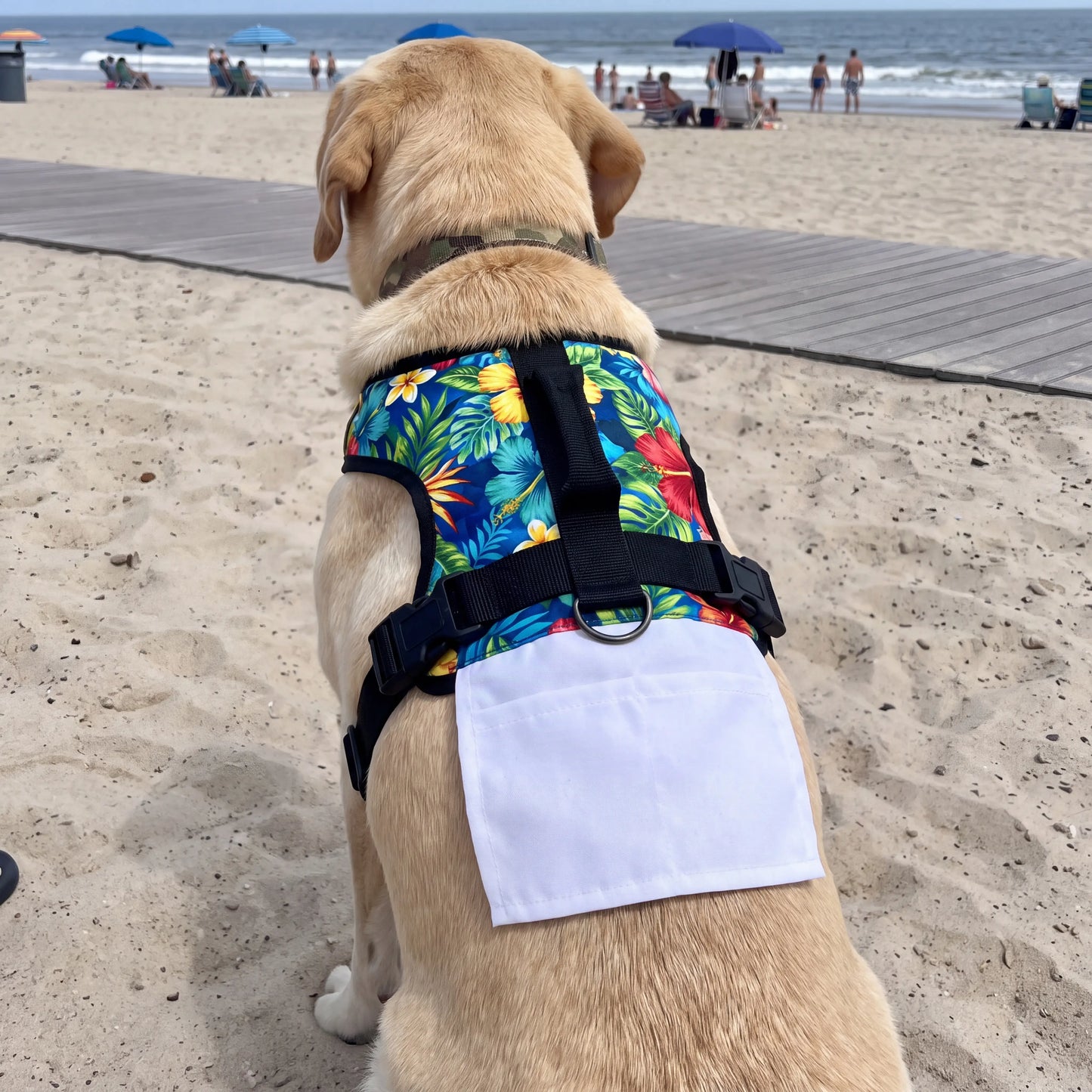 BeerBuddy Dog Costume