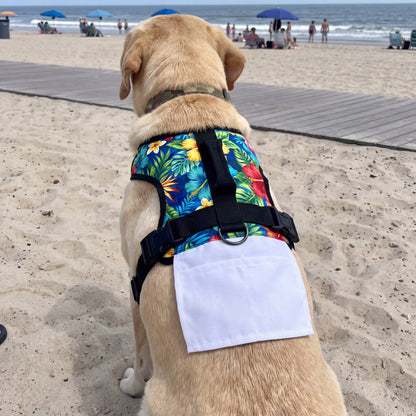 BeerBuddy Dog Costume