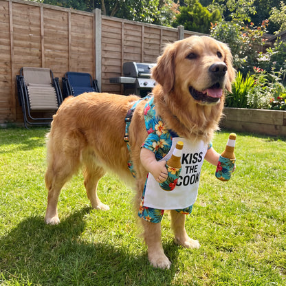 BeerBuddy Dog Costume